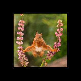 Nennen wir es den „Primakow-Effekt“!